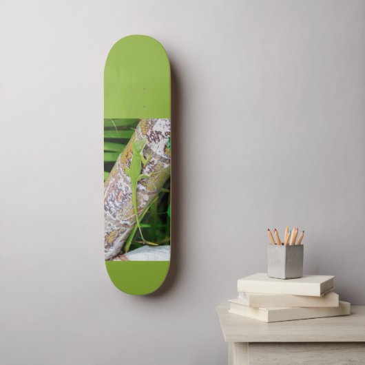 Skateboard Lounge Lizard Green Gecko (Art mural)