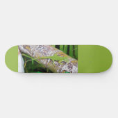 Skateboard Lounge Lizard Green Gecko (Horz)