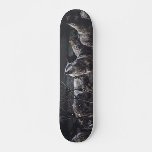 Skateboard Loup de loup de loup (Devant)