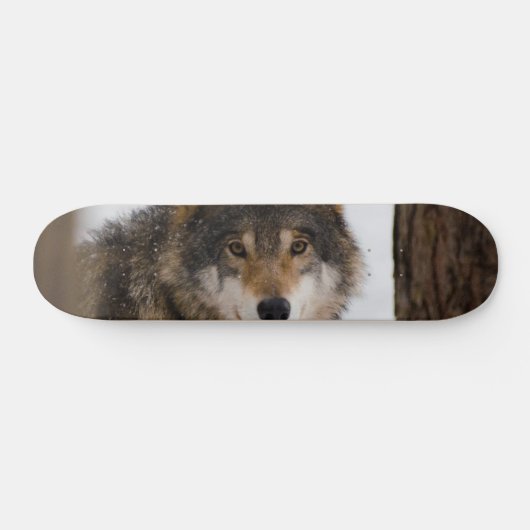 Skateboard Loup gris européen (Horz)