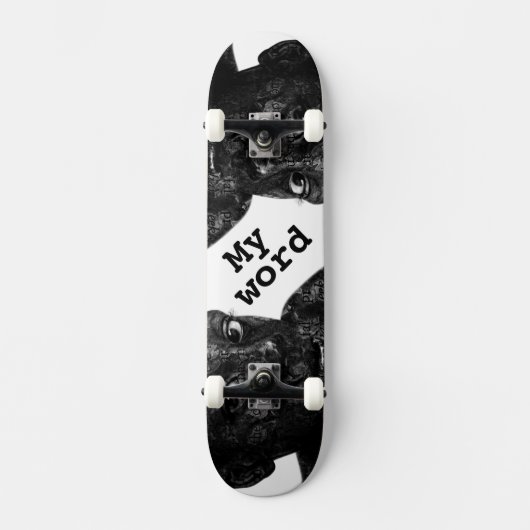 Skateboard ma parole en blacq (Recto)