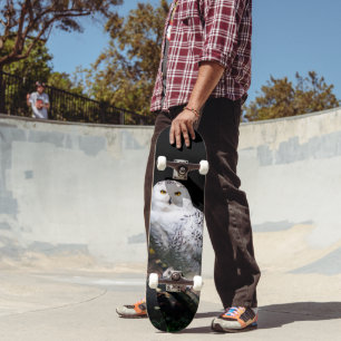 Skateboard Magnifique harfang des neiges d'hiver
