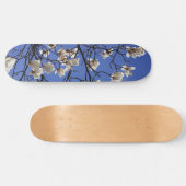 Skateboard Magnolias florissants (Horz)