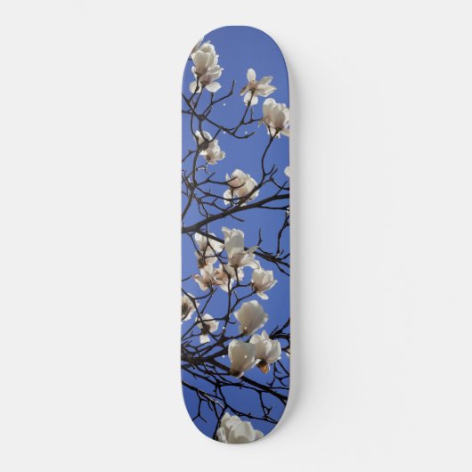 Skateboard Magnolias florissants (Recto)