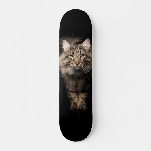 Skateboard Maine Coon gros chat (Devant)
