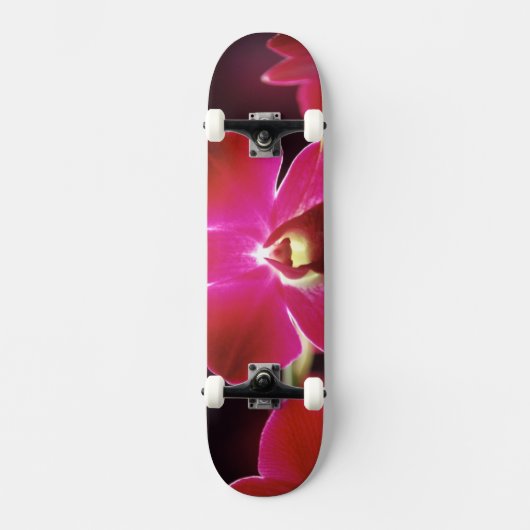 Skateboard Malaisie, orchidée (Recto)
