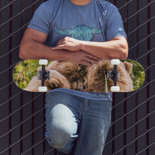 Skateboard Mama bear nourrit ses deux petits, Lake Clark Nati (Extérieur 3)