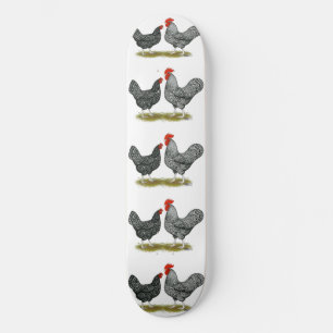 Skateboard Marans : Paire de cacao