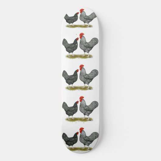 Skateboard Marans : Paire de cacao (Recto)