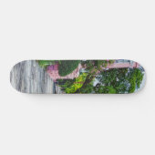 Skateboard Marcher le long de Rainbow Row (Horz)