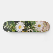 SKATEBOARD MARGUERITE (Horz)