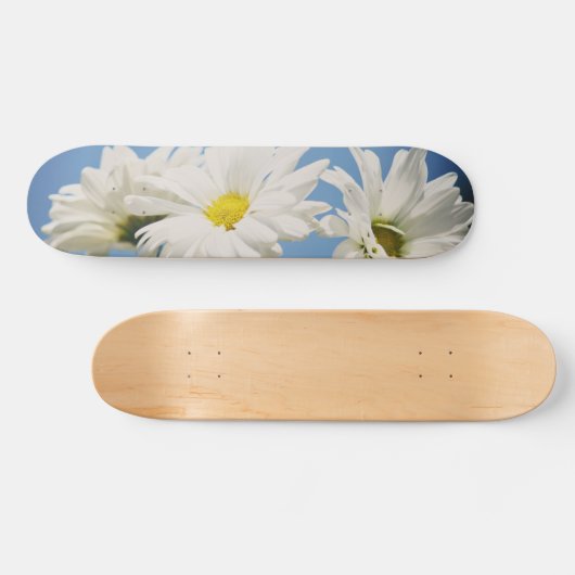 Skateboard Marguerites blanches vintages (Horz)