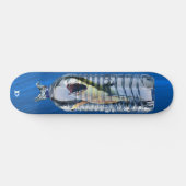 Skateboard Marque Predator Trapped Dd (Horz)