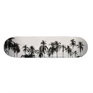 Skateboard MeddockPhoto_Skateboard_Places