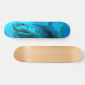 Skateboard Megalodon (Horz)