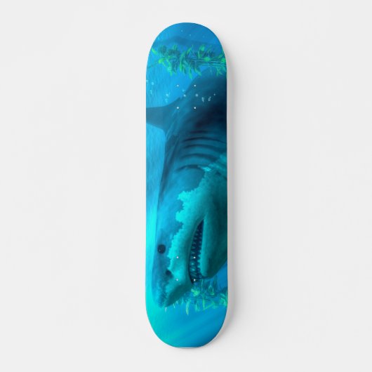 Skateboard Megalodon (Devant)
