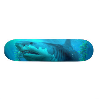 Skateboard Megalodon