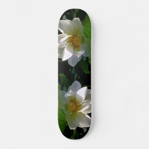 Skateboard met fijne witte Lotusventilator