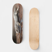 Skateboard met hagedis (Voorkant)