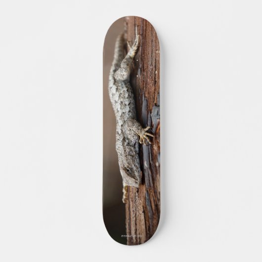 Skateboard met hagedis (Voorkant)