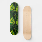 SKATEBOARD MICKEY C (Recto)