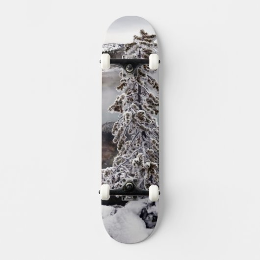 Skateboard Milou Yellowstone (Recto)