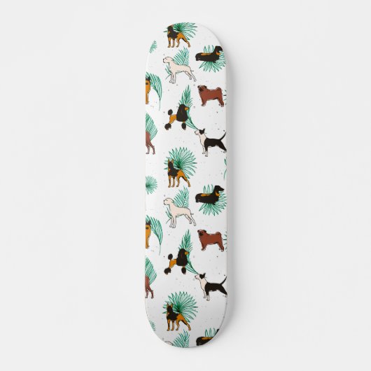 Skateboard Miracles avec pattes, animaux de compagnie Tropica (Devant)