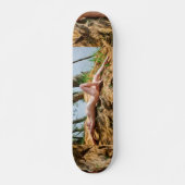 Skateboard Modèle féminin bronzage Thunder_Cove (Devant)