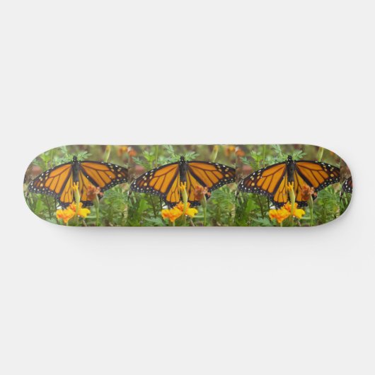 Skateboard Mon Monarque Papillon-skateboard (Horz)