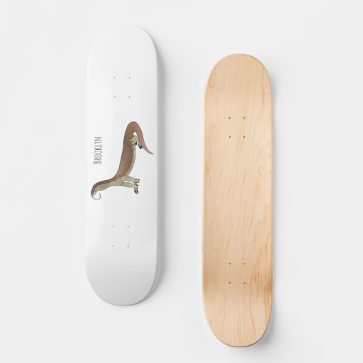 Skateboard Monitor lizard (Recto)