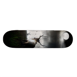 Skateboard Montre de baleine