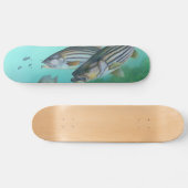 Skateboard Morone atlantique Saxatilis de poissons de bar (Horz)