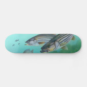 Skateboard Morone atlantique Saxatilis de poissons de bar (Horz)