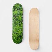 Skateboard Moss Abstrait (Recto)
