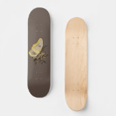 Skateboard Moth (Recto)