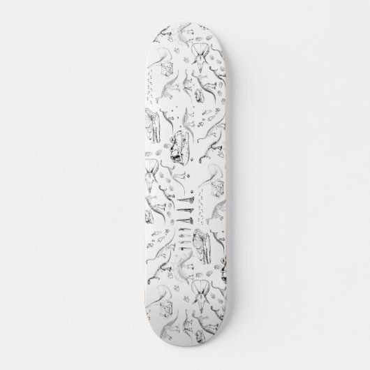 Skateboard Motif des os fossiles de dinosaures (Devant)
