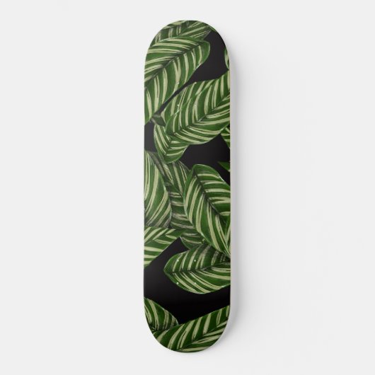 Skateboard Motif Feuille tropical (Recto)