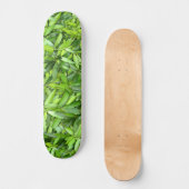 Skateboard Motif Feuille verdoyant - Nature Botanique (Recto)