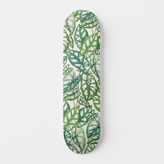 Skateboard Motif Feuille vert tropical (Recto)