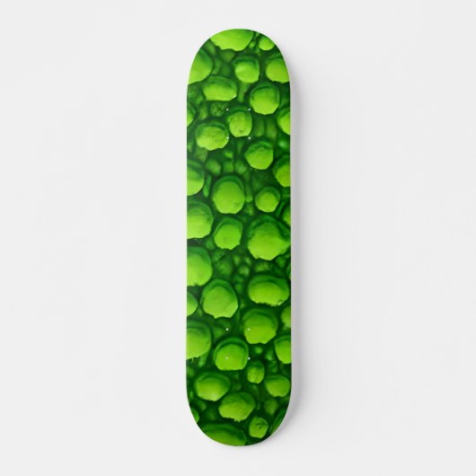 Skateboard Motif Mossy Vert (Devant)