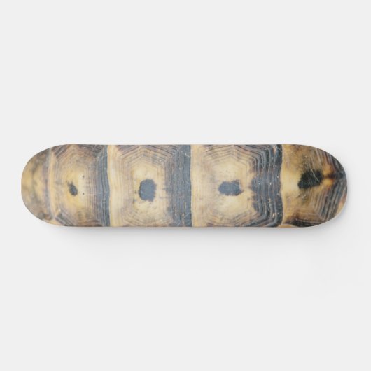 Skateboard Motif Tortoise Shell (Horz)