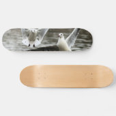 Skateboard Mouettes en vol (Horz)