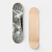 Skateboard Mouettes en vol (Recto)