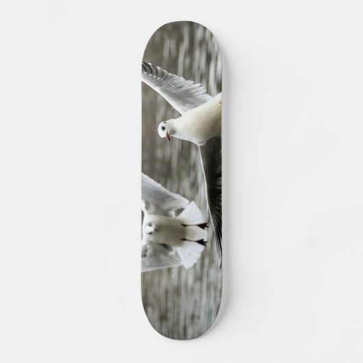 Skateboard Mouettes en vol (Recto)