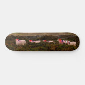 Skateboard Moutons colorés (Horz)