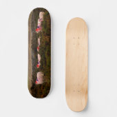 Skateboard Moutons colorés (Recto)