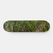 Skateboard Mur D'Ivy (Horz)