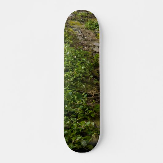 Skateboard Mur D'Ivy (Devant)