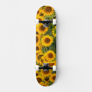 Skateboard Na, États-Unis, Colorado, Tournesols