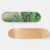 Skateboard Nature Forrest (Horz)